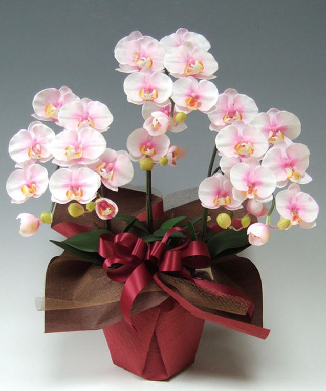 光触媒造花胡蝶蘭スタンダード3本立ち（淡いピンク）の画像