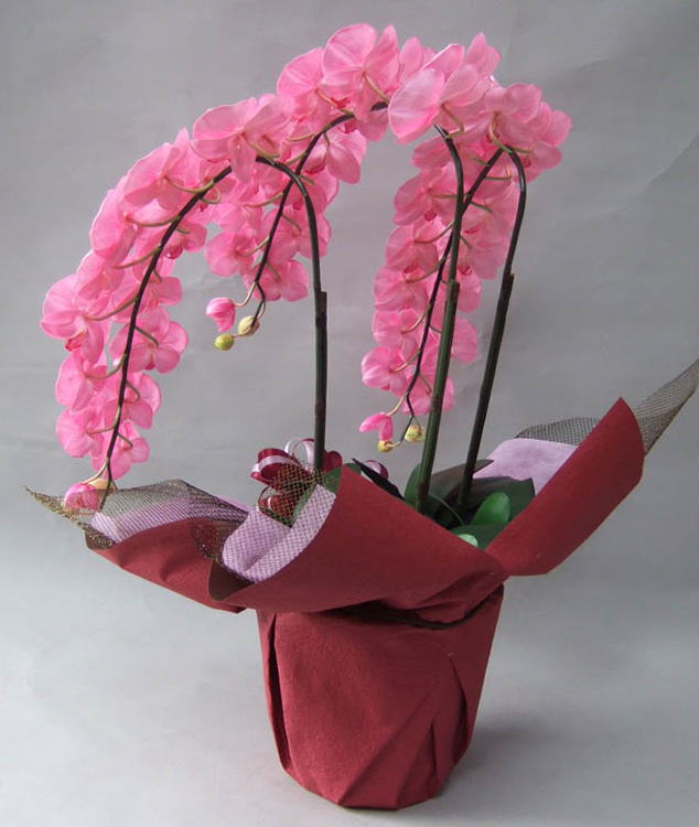 光触媒造花胡蝶蘭3本立ち・特大輪（ピンク）の後ろからのイメージ画像