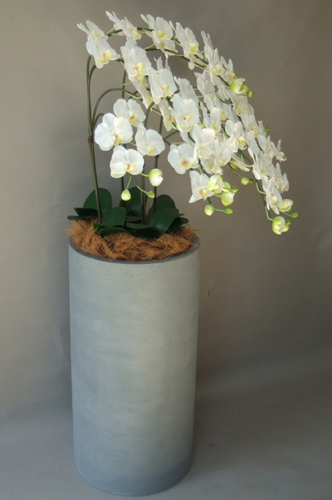 光触媒造花胡蝶蘭5本立ち（白）・花台付き（ファイバーストーン大型鉢）を横からのイメージ画像