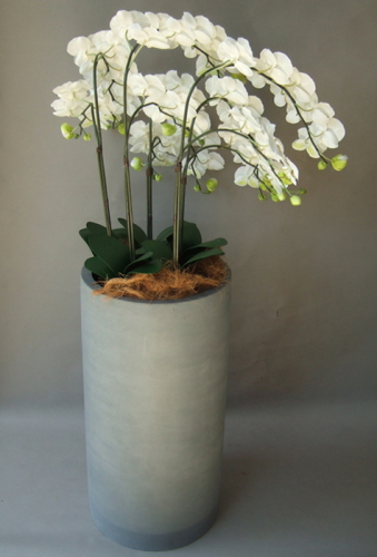 光触媒造花胡蝶蘭5本立ち（白）・花台付き（ファイバーストーン大型鉢）を横からのイメージ画像