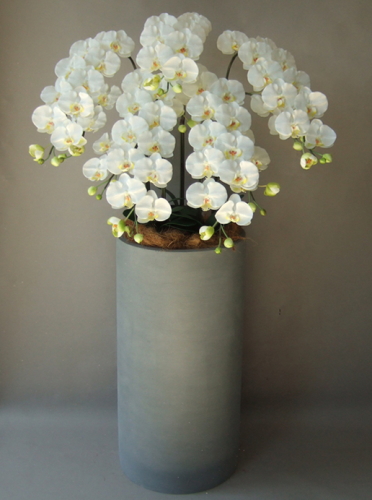 光触媒造花胡蝶蘭5本立ち（白）・花台付き（ファイバーストーン大型鉢）の画像