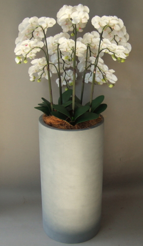 光触媒造花胡蝶蘭5本立ち（白赤）・花台付き（ファイバーストーン大型鉢）を横からのイメージ画像