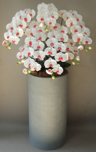 光触媒造花胡蝶蘭5本立ち（白赤）・花台付き（ファイバーストーン大型鉢）の画像