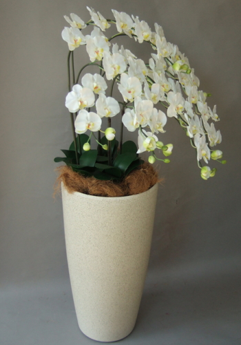 光触媒造花胡蝶蘭5本立ち（白）・花台付き（サンドホワイト大型鉢） を横からのイメージ画像