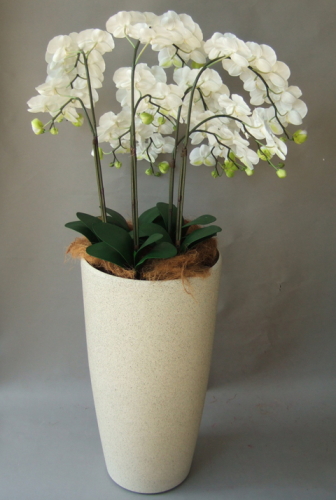 光触媒造花胡蝶蘭5本立ち（白）・花台付き（サンドホワイト大型鉢） を横からのイメージ画像