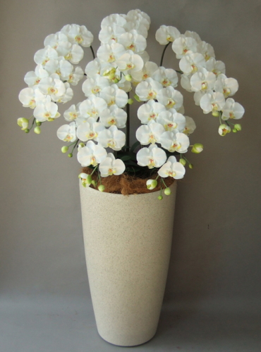 光触媒造花胡蝶蘭5本立ち（白）・花台付き（サンドホワイト大型鉢） の画像