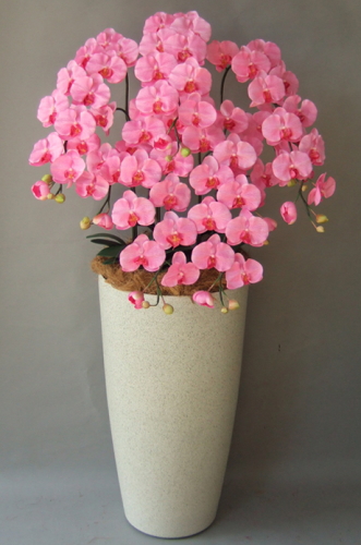光触媒造花胡蝶蘭5本立ち（ピンク）・花台付き（サンドホワイト大型鉢）の画像