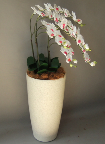 光触媒造花胡蝶蘭5本立ち（白赤）・花台付き（サンドホワイト大型鉢） を横からのイメージ画像