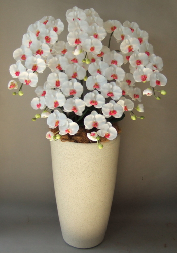 光触媒造花胡蝶蘭5本立ち（白赤）・花台付き（サンドホワイト大型鉢） の画像