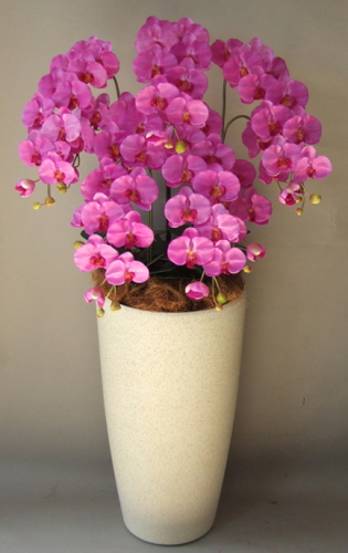 光触媒造花胡蝶蘭5本立ち（濃いピンク）・花台付き（サンドホワイト大型鉢） の画像