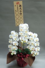 光触媒造花の立て札