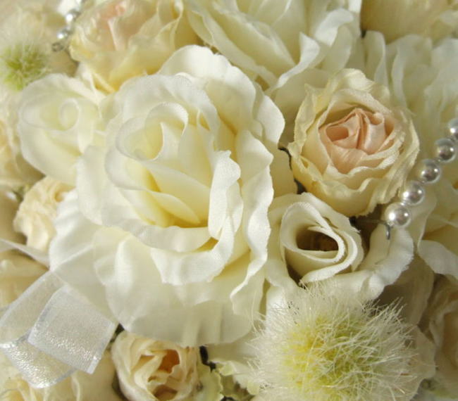 �L�����f�B�[��