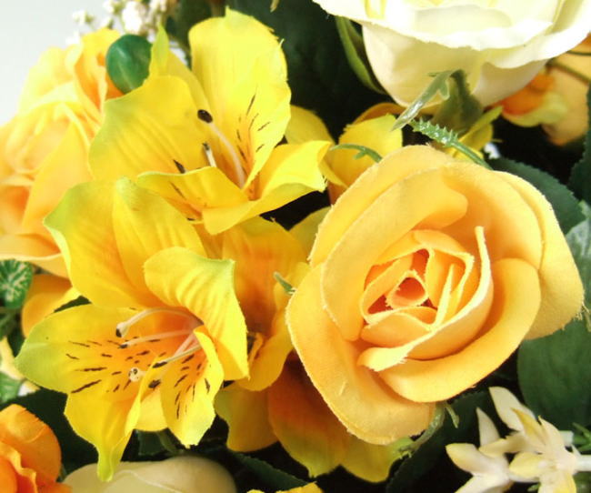 �o���E�A���X�g�������A����