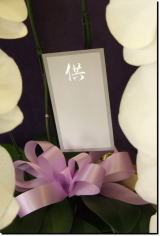 ���ފ�/�Ӓ����i�R�`���E�����j