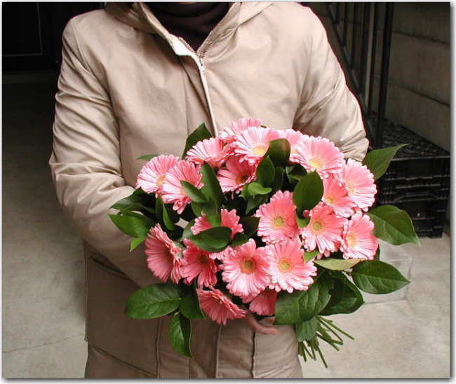 �h�V�̓�/�t�����[�M�t�g