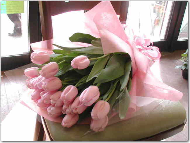 �t�����[�M�t�g/�`���[���b�v