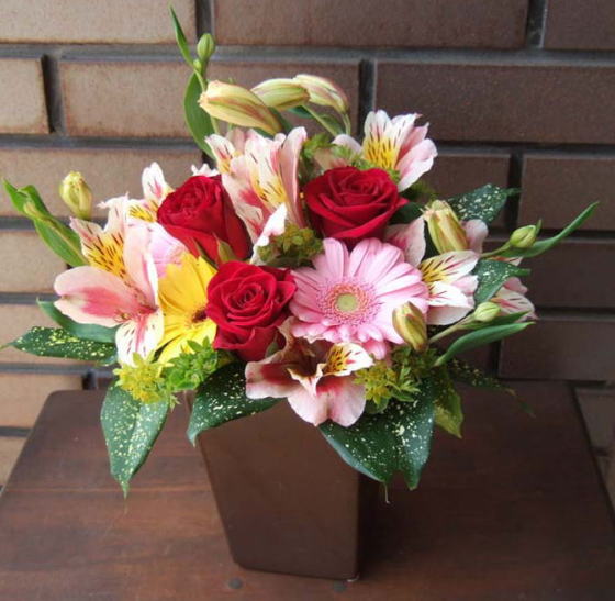 �t�����[�M�t�g/�������̉�