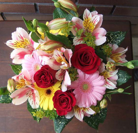 �t�����[�M�t�g/�����̉�