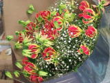 ���\��E�R���T�[�g�E����p