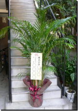 観葉植物/立て札
