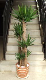 ���b�J