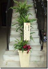 観葉植物に立札を付けたイメージの画像