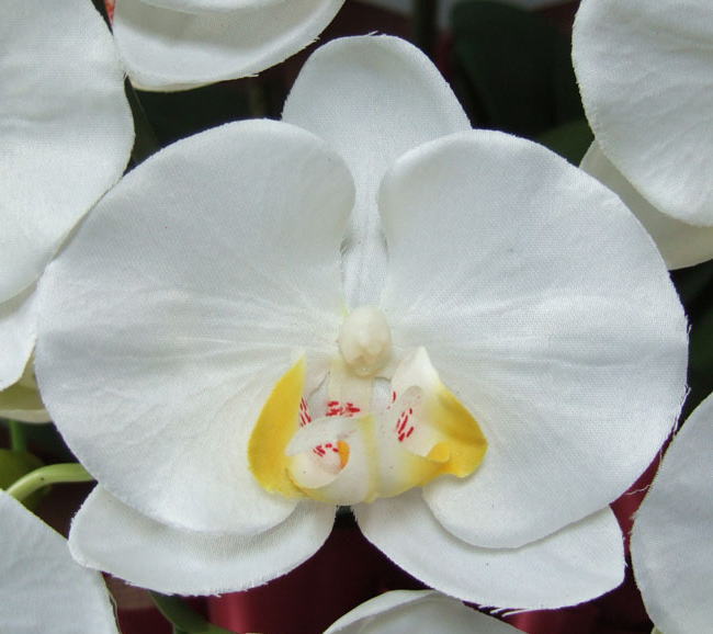 造花胡蝶蘭ラージ（白）の花弁