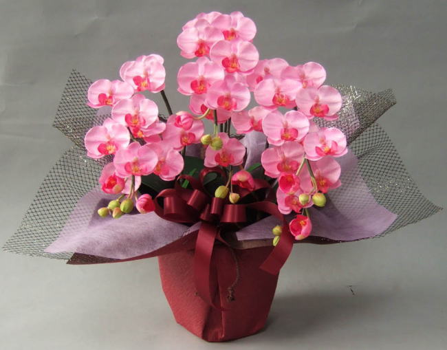 光触媒造花ミニ胡蝶蘭・ピンク3F