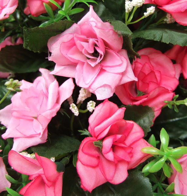 ミニバラ（ピンク）花弁のイメージ画像
