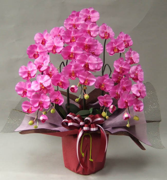 光触媒造花胡蝶蘭L3F濃いピンクの画像