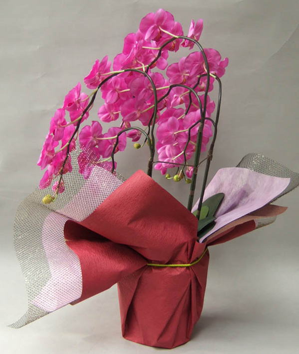 光触媒造花胡蝶蘭ラージ5本立ち濃いピンクを後ろからのイメージ画像