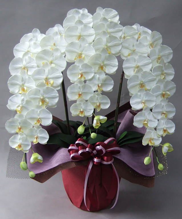 光触媒造花胡蝶蘭3本立ち・特大輪（白）のメイン画像