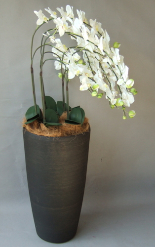 光触媒造花胡蝶蘭5本立ち（白）・花台付き（クリアブラック大型鉢）を横からのイメージ画像