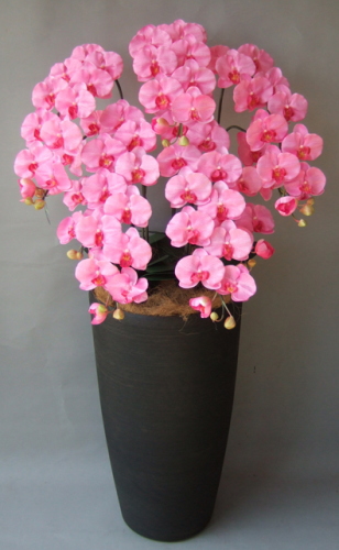 光触媒造花胡蝶蘭5本立ち（ピンク）・花台付き（クリアブラック大型鉢） の画像