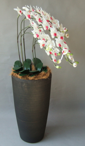 光触媒造花胡蝶蘭5本立ち（白赤）・花台付き（クリアブラック大型鉢） を横からのイメージ画像