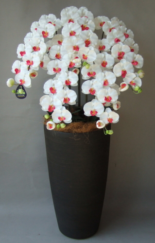 光触媒造花胡蝶蘭5本立ち（白赤）・花台付き（クリアブラック大型鉢） の画像