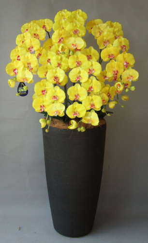 光触媒造花胡蝶蘭5本立ち（イエロー）・花台付き（クリアブラック大型鉢） の画像