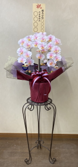 8寸立札付の光触媒造花胡蝶蘭スタンダード3本立ち（淡いピンク）・花台付き（IR）の画像