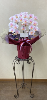 カード付の光触媒造花胡蝶蘭スタンダード3本立ち（淡いピンク）・花台付き（IR）の画像