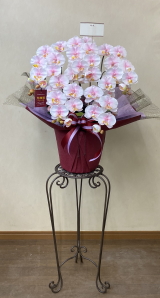 カード付の光触媒造花胡蝶蘭スタンダード5本立ち（淡いピンク）・花台付き（IR）の画像