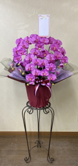 名札付の光触媒造花胡蝶蘭スタンダード5本立ち（濃いピンク）・花台付き（IR）の画像