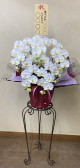 8寸立札付の光触媒造花胡蝶蘭スタンダード5本立ち（白）・花台付き（IR）の画像