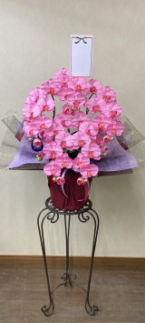 名札付の光触媒造花胡蝶蘭スタンダード5本立ち（ピンク）・花台付き（IR）の画像