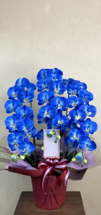 名札付の光触媒造花胡蝶蘭ラージ3本立ち（ロイヤルブルー）の画像