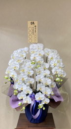 お悔み用8寸立札付きの造花胡蝶蘭ラージ5本立ち
