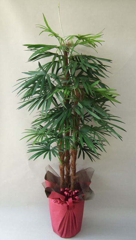 棕櫚竹 大型 光触媒造花観葉植物販売のアンジェリック