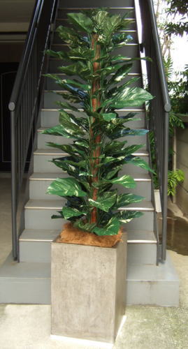 光触媒造花観葉植物 大葉ポトス コンクリート風大型スクエア鉢 グレイ 光触媒造花観葉植物販売のアンジェリック