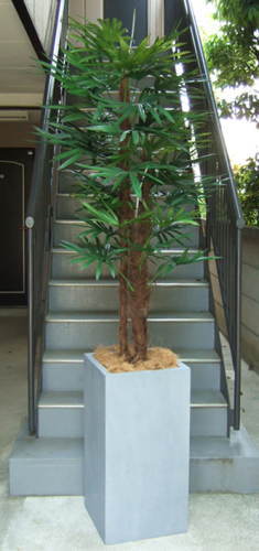 光触媒造花観葉植物・棕櫚竹（ファイバーストーン製スクエア鉢）の画像