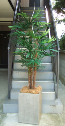 光触媒造花観葉植物・棕櫚竹（コンクリート風大型スクエア鉢・グレイ）の画像