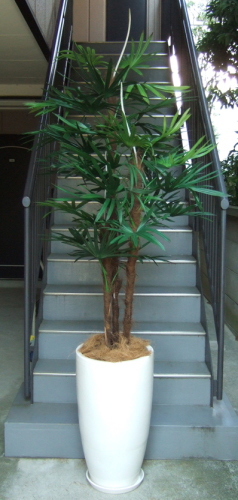 光触媒造花棕櫚竹（鉢皿付き大型陶器鉢W11）の画像